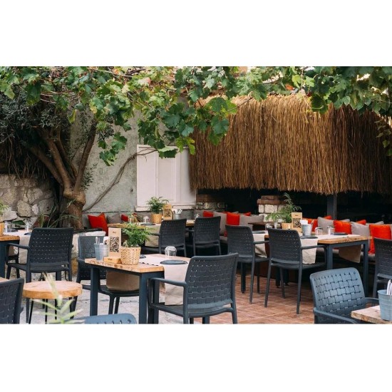 Столица Fame K